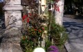 20120103-123812.jpg