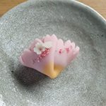 桜　和菓子